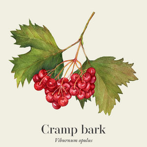CRAMPS BARK