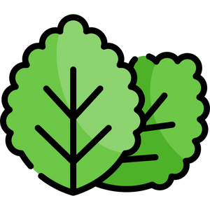 SPEARMINT